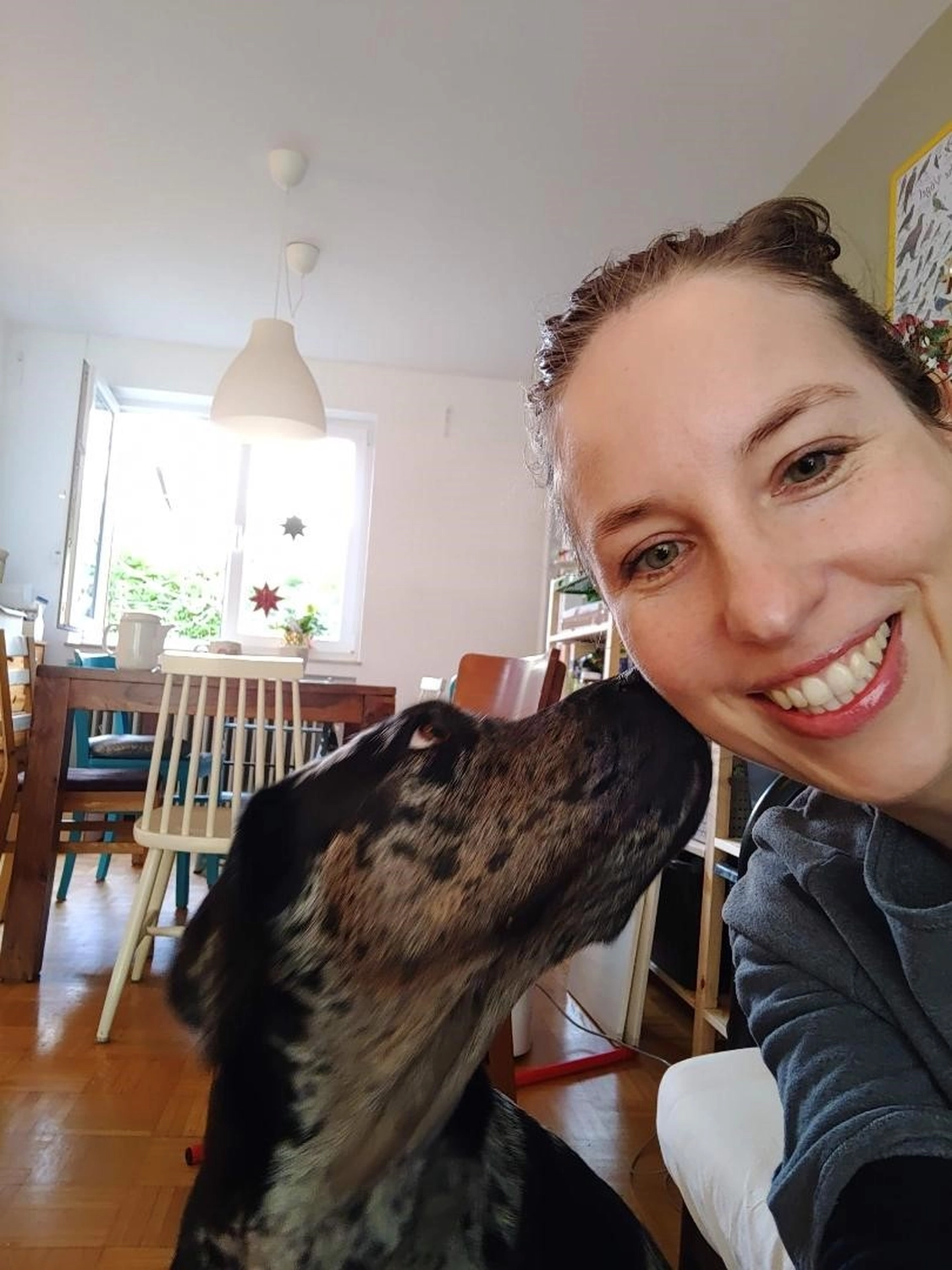 Dogs happy&calm - Hundetraining - Frau mit Hund