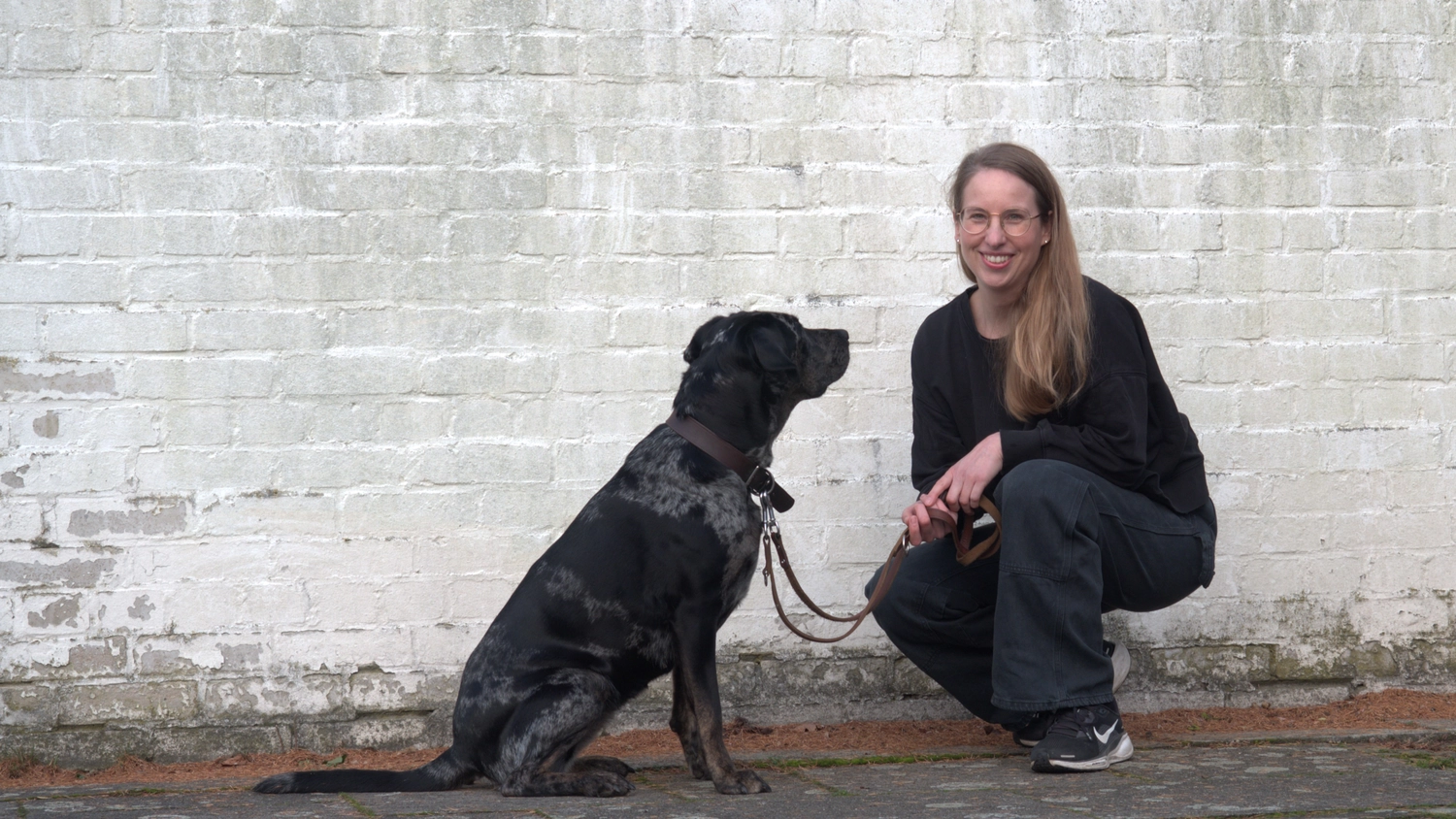Dogs happy&calm - Hundetraining - Frau mit Hund