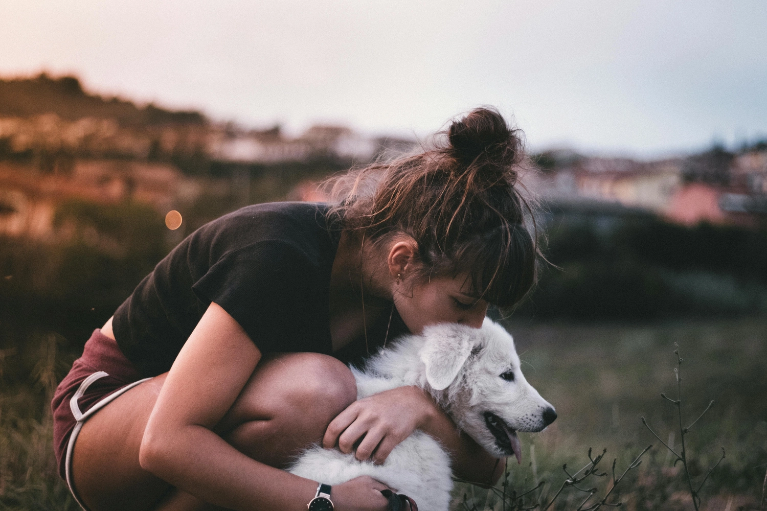 Dogs happy&calm - Hundetraining - Frau umarmt Hund